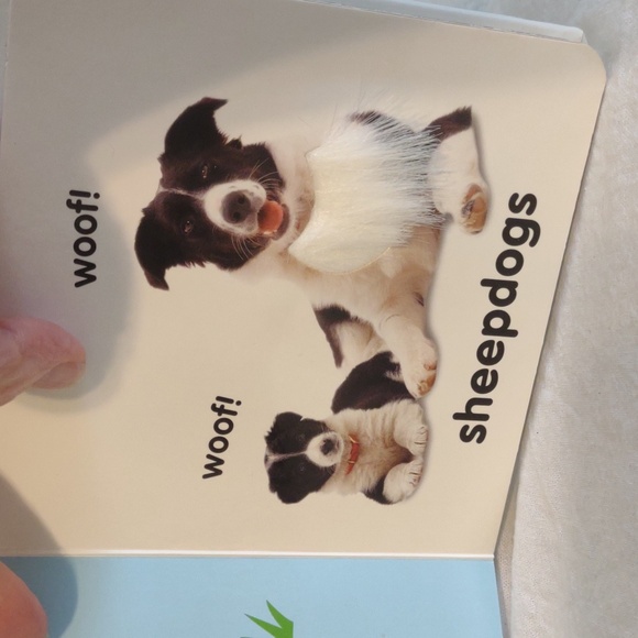 Bundle of 3 Baby Books. 2 touch and feel. One lift-a-flap book. GUC - Picture 6 of 6